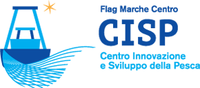 Logo CISP FLAG Marche Centro